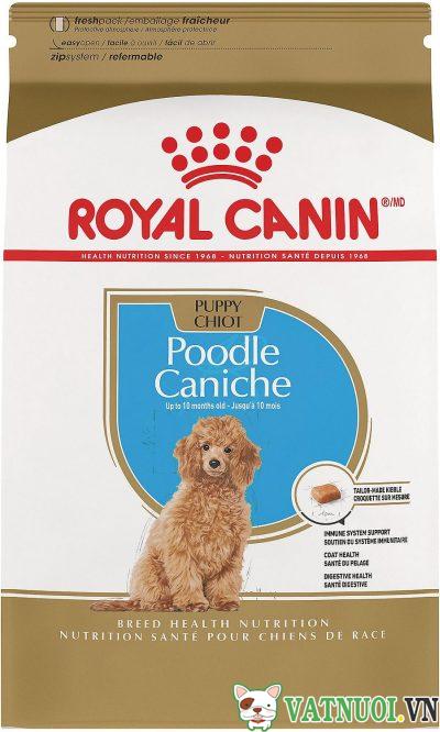 thức ăn royal canin poodle